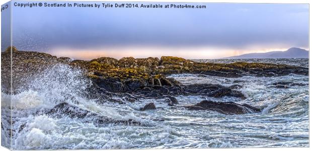 Stormy Day at Portencross Ayrshire Canvas Print by Tylie Duff Photo Art