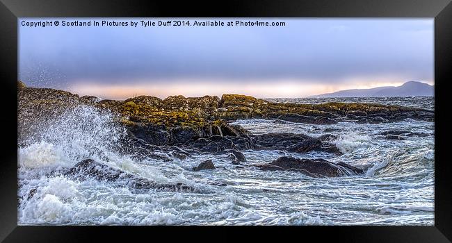 Stormy Day at Portencross Ayrshire Framed Print by Tylie Duff Photo Art