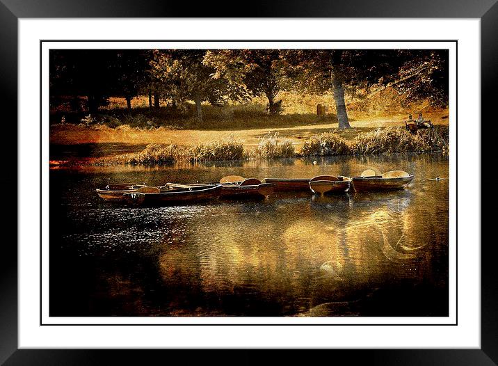 Golden Moments of Summer Framed Mounted Print by sylvia scotting