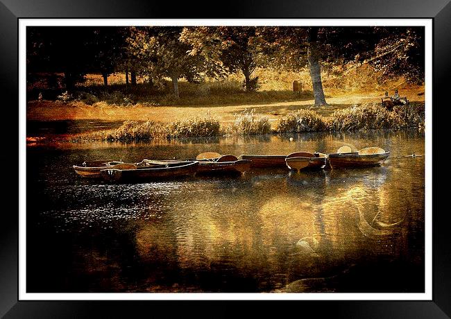 Golden Moments of Summer Framed Print by sylvia scotting