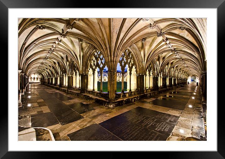  Norwich Cathedral Cloisters Framed Mounted Print by Darren Carter