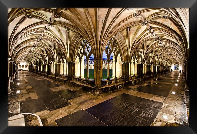  Norwich Cathedral Cloisters Framed Print by Darren Carter