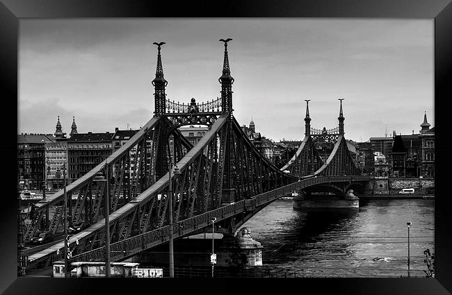 Liberty Bridge Budapest Framed Print by David French