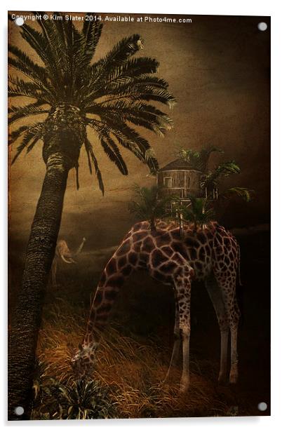  African Adventures! Acrylic by Kim Slater