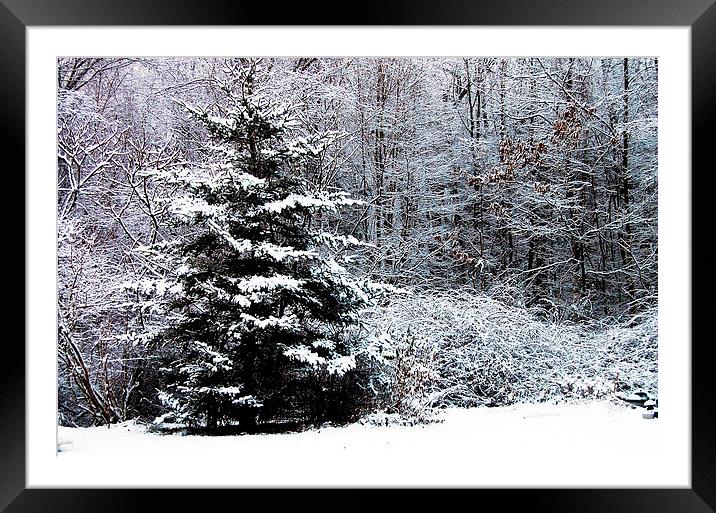 Winter Scene  Framed Mounted Print by james balzano, jr.