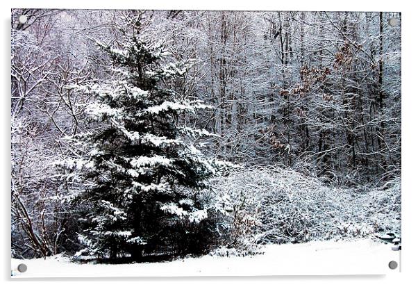 Winter Scene  Acrylic by james balzano, jr.