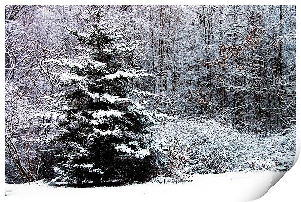 Winter Scene  Print by james balzano, jr.