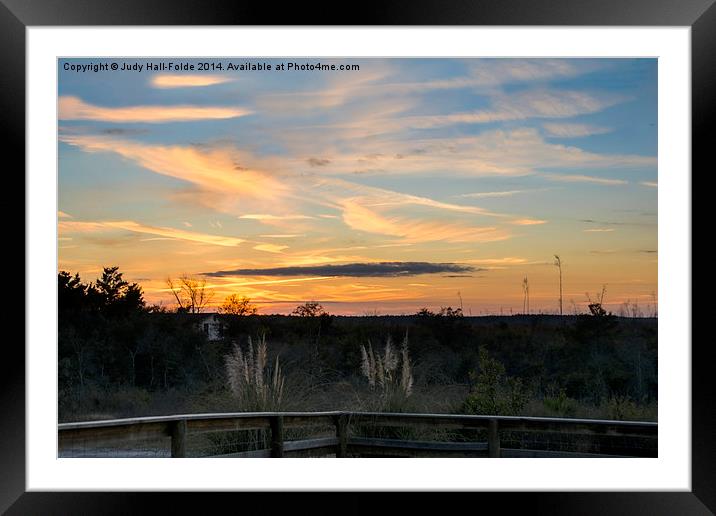  December Forest Sunset Framed Mounted Print by Judy Hall-Folde