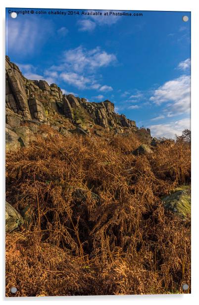 Stanage Edge in Debyshire Acrylic by colin chalkley