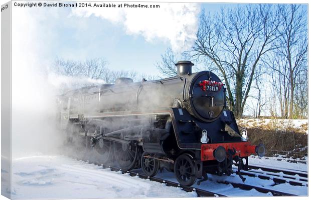  Snow and Steam Canvas Print by David Birchall