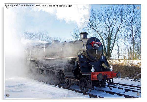  Snow and Steam Acrylic by David Birchall