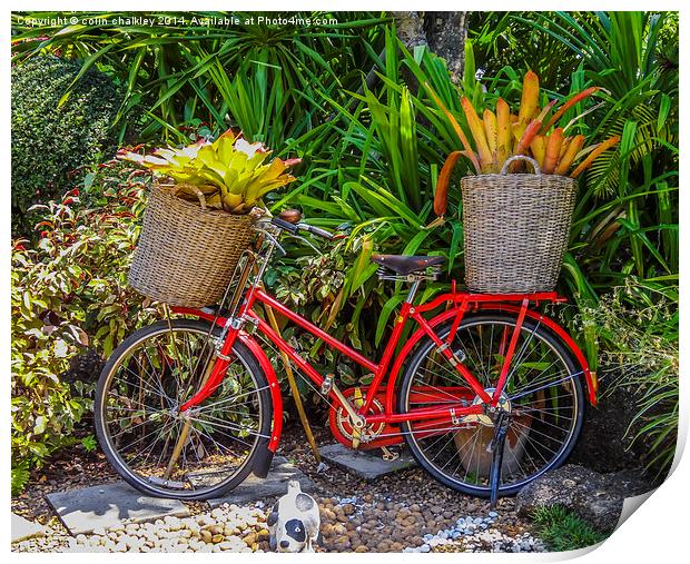  A Bicycle Planter - Thai style Print by colin chalkley