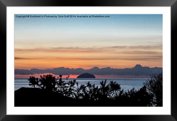 Looking Across to Ailsa Craig  Framed Mounted Print by Tylie Duff Photo Art