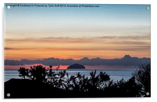 Looking Across to Ailsa Craig  Acrylic by Tylie Duff Photo Art