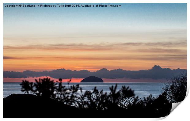 Looking Across to Ailsa Craig  Print by Tylie Duff Photo Art
