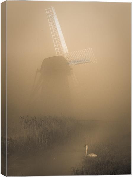 Mill and Swan Canvas Print by Keith Naylor