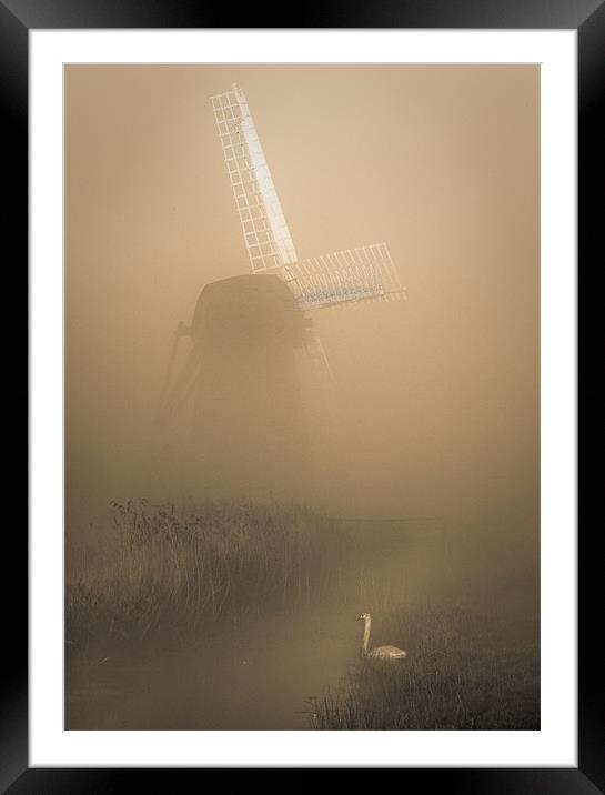 Mill and Swan Framed Mounted Print by Keith Naylor