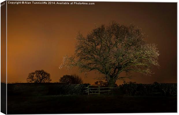  Night shot of tree Canvas Print by Alan Tunnicliffe