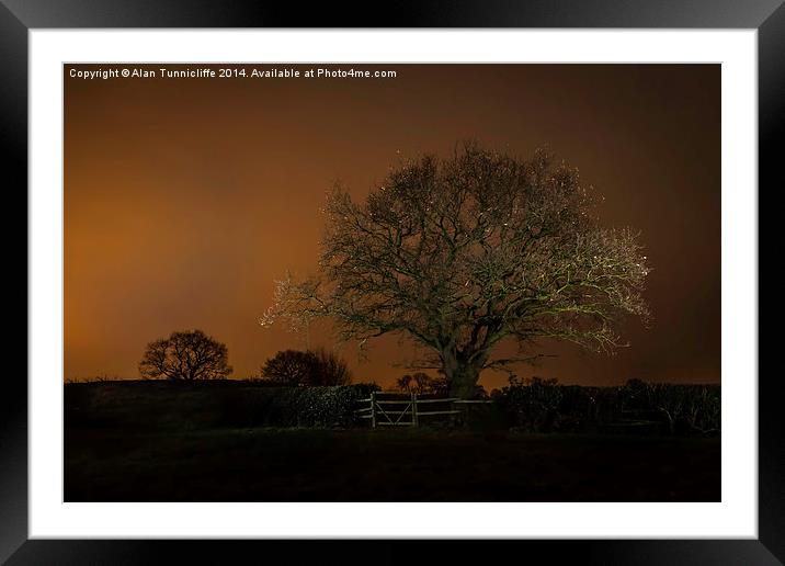  Night shot of tree Framed Mounted Print by Alan Tunnicliffe