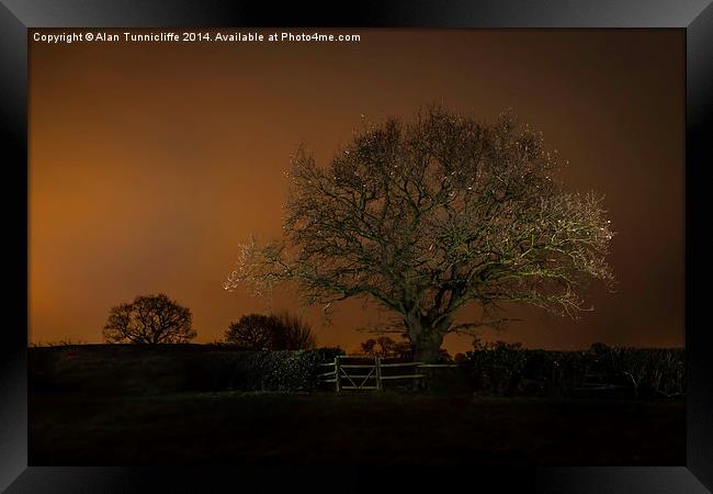  Night shot of tree Framed Print by Alan Tunnicliffe
