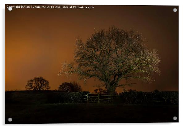  Night shot of tree Acrylic by Alan Tunnicliffe