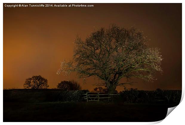  Night shot of tree Print by Alan Tunnicliffe