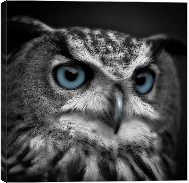  Blue Eyes Canvas Print by Andy Bennette