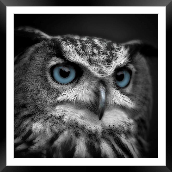  Blue Eyes Framed Mounted Print by Andy Bennette