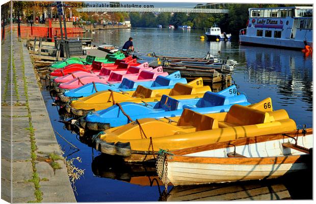 Pedalos for hire on the River Dee Canvas Print by Frank Irwin