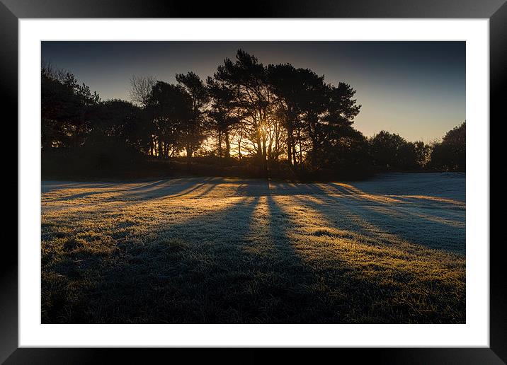  Sunrise through frosty trees Framed Mounted Print by Leighton Collins