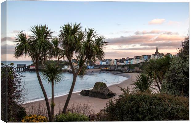  Tenby. Canvas Print by Becky Dix