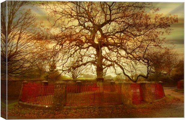  The Oldest Tree in the Village. Canvas Print by Heather Goodwin