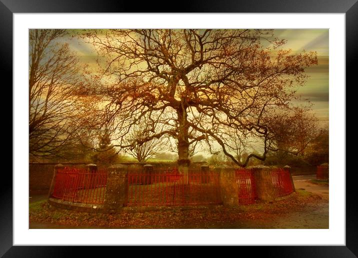  The Oldest Tree in the Village. Framed Mounted Print by Heather Goodwin