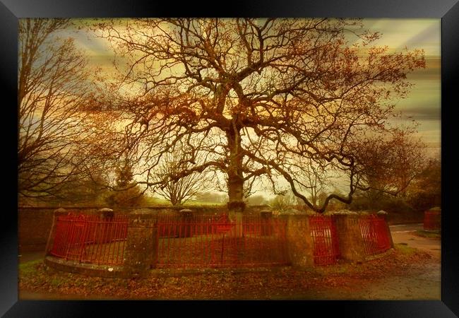  The Oldest Tree in the Village. Framed Print by Heather Goodwin