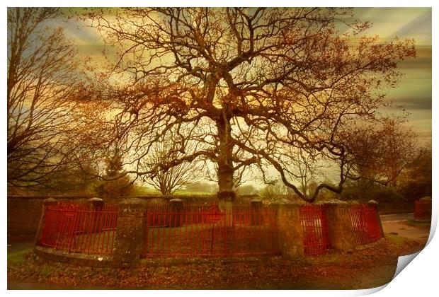  The Oldest Tree in the Village. Print by Heather Goodwin