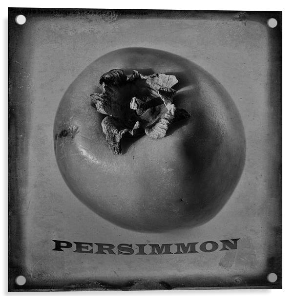  Persimmon Acrylic by Sandra Pledger