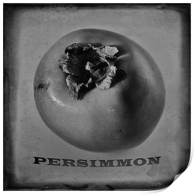  Persimmon Print by Sandra Pledger
