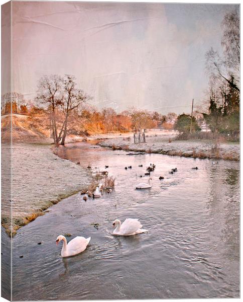 Along the River Darenth  Canvas Print by Dawn Cox