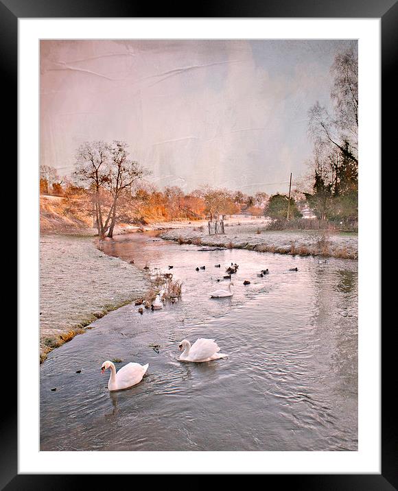 Along the River Darenth  Framed Mounted Print by Dawn Cox
