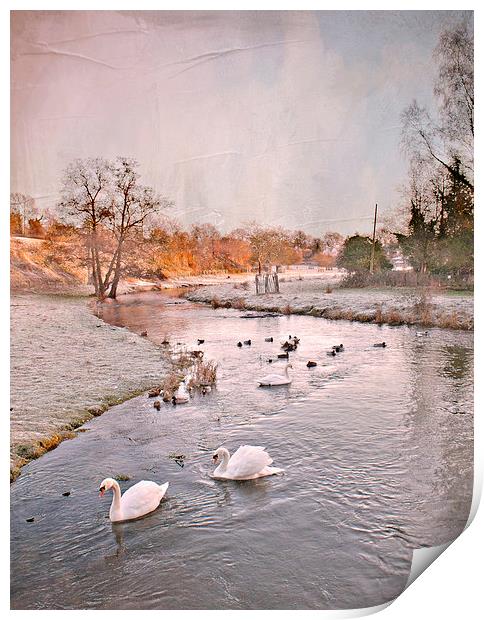 Along the River Darenth  Print by Dawn Cox