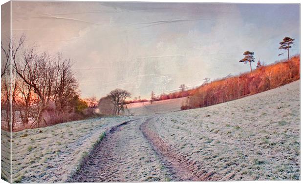  Rural Kent Canvas Print by Dawn Cox