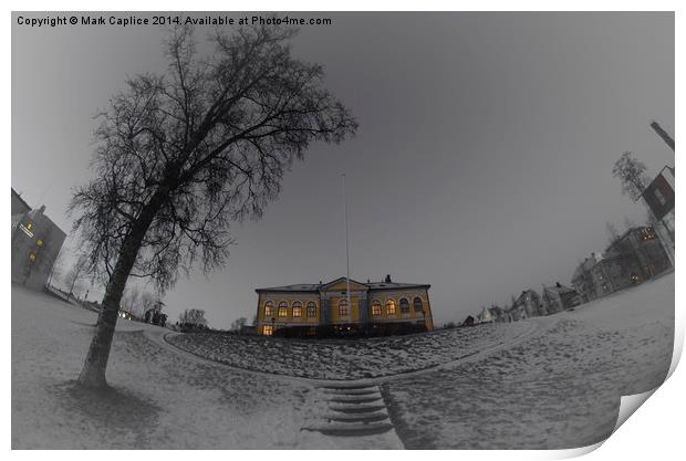  Winter in Tromso Print by Mark Caplice