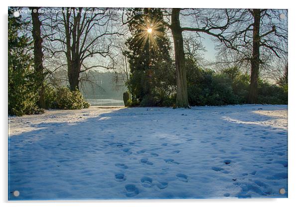  Winter Scene 3 Acrylic by Brian Garner
