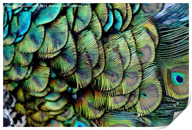 peacock pattern Print by Jo Beerens