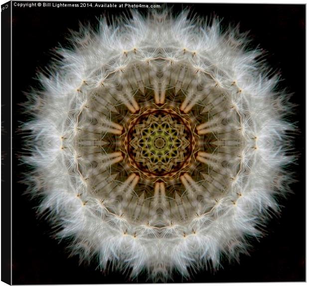  Dandelion Seedhead Circle Canvas Print by Bill Lighterness