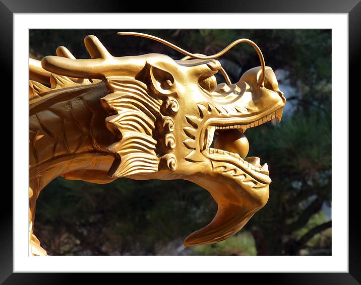 Dragon Framed Mounted Print by Mary Lane