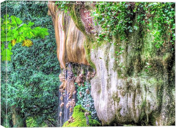  Mother Shipton`s Dropping Well - Knaresborough Canvas Print by Colin Williams Photography