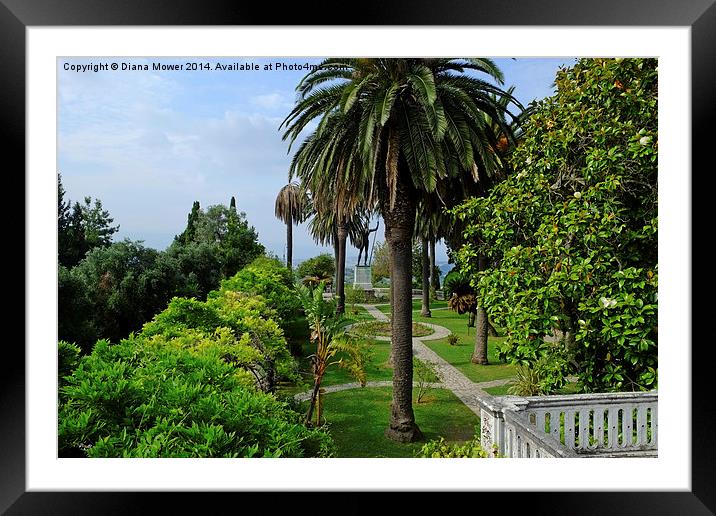  Achilleion Palace Gardens Framed Mounted Print by Diana Mower