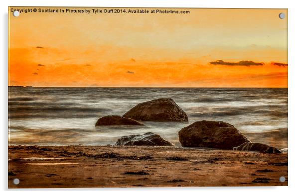  From Seamill to Ailsa Craig Acrylic by Tylie Duff Photo Art