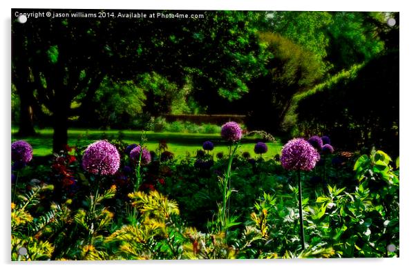  Purple Allium  Acrylic by Jason Williams